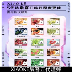 XIAOKE五代煙彈|XIAOKE梟客可替換式五代電子煙